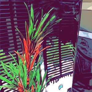 Meet your Posher, Alexandria